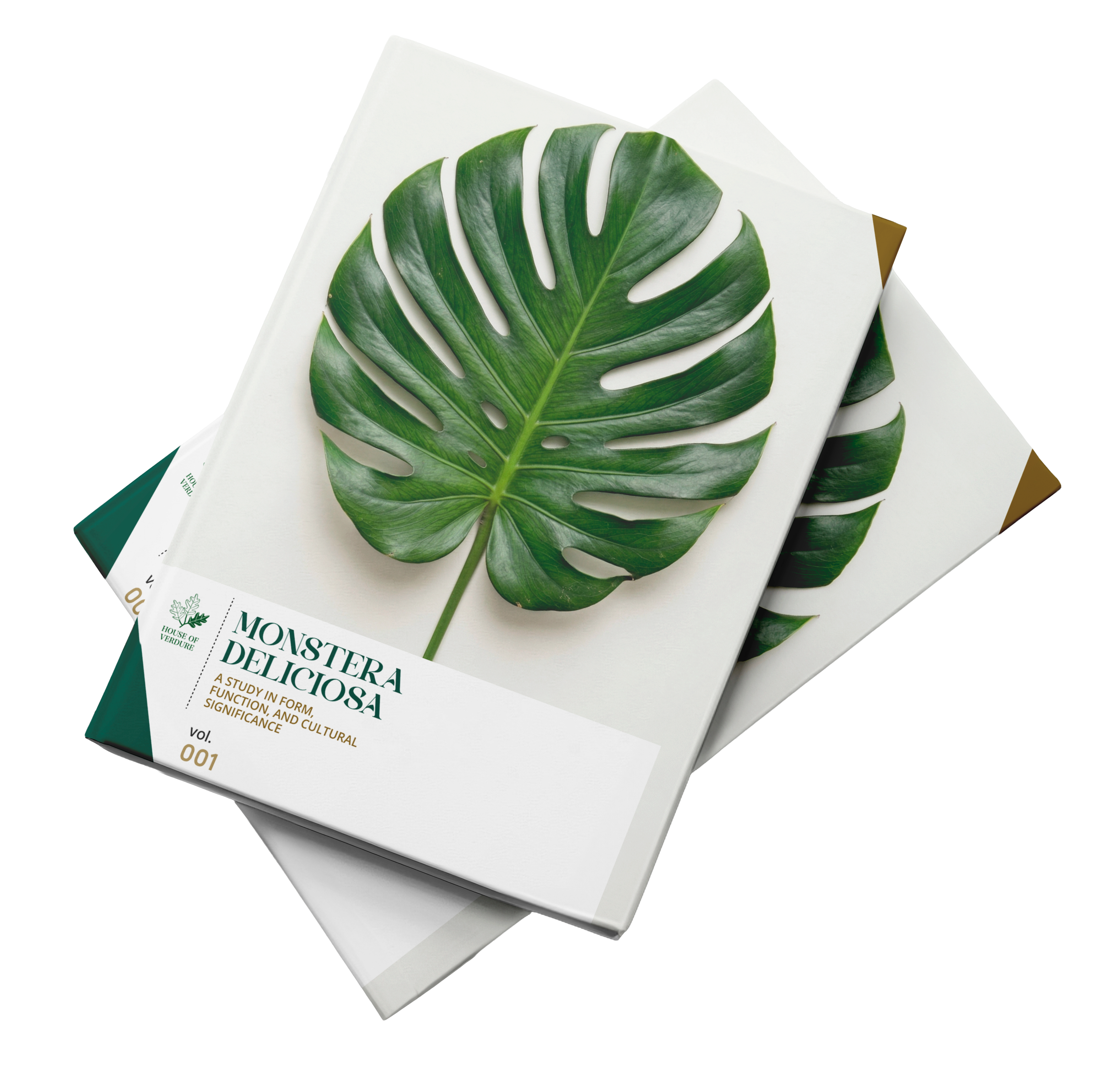 Monstera Deliciosa Dossier
