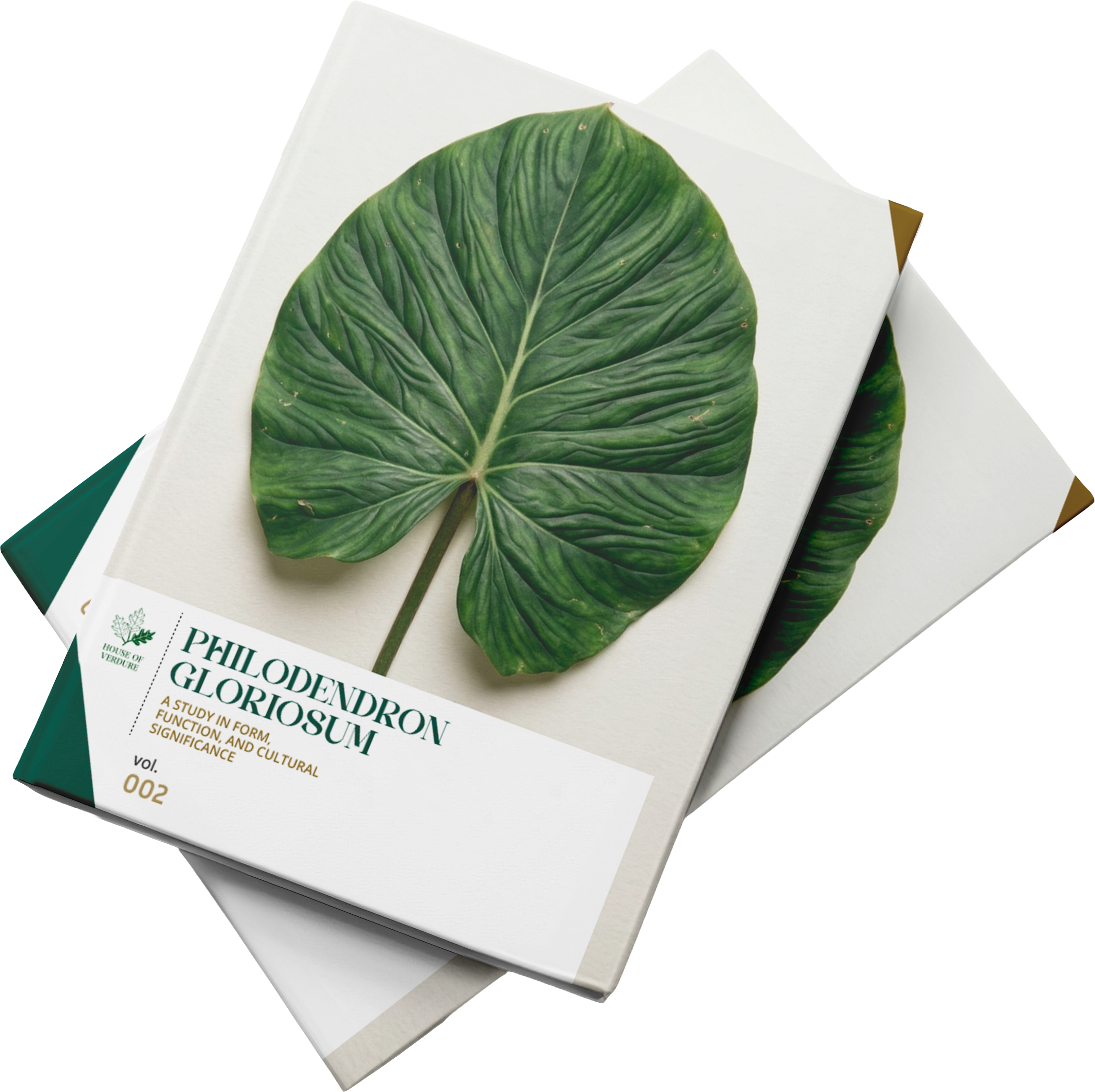 Philodendron Gloriosum Dossier